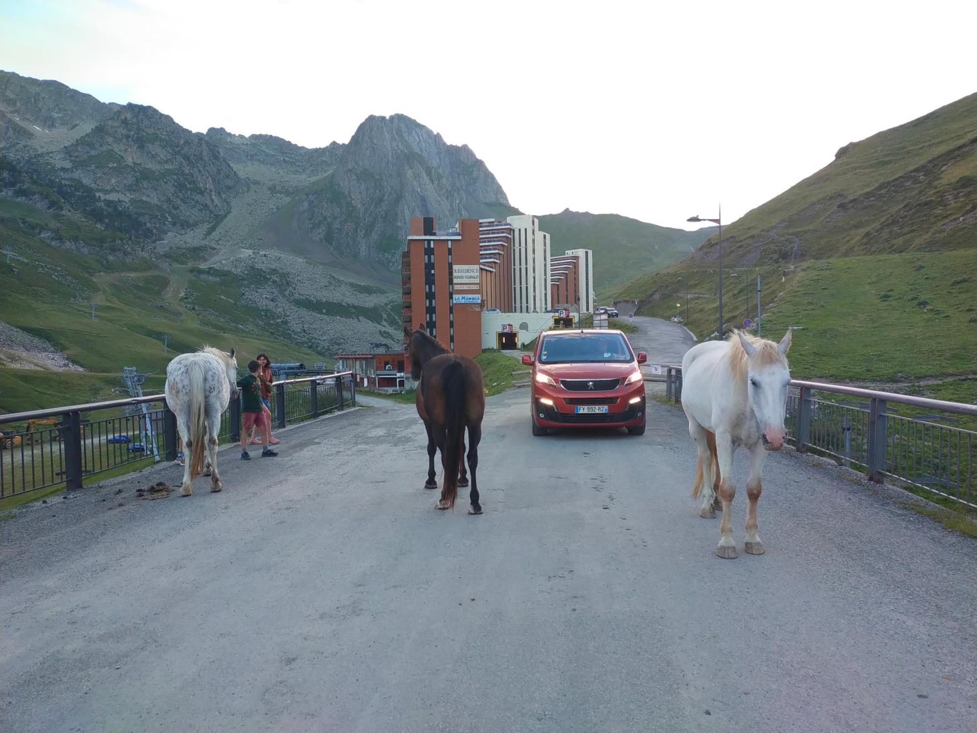 Appartement Le Petit Du Tourmalet Pied Des Pistes -