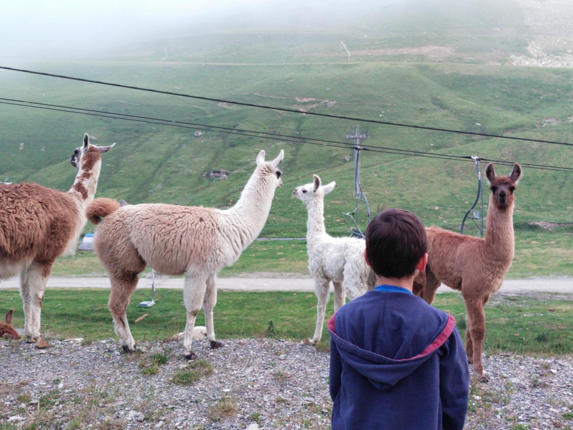 Le Petit Du Tourmalet Pied Des Pistes - *